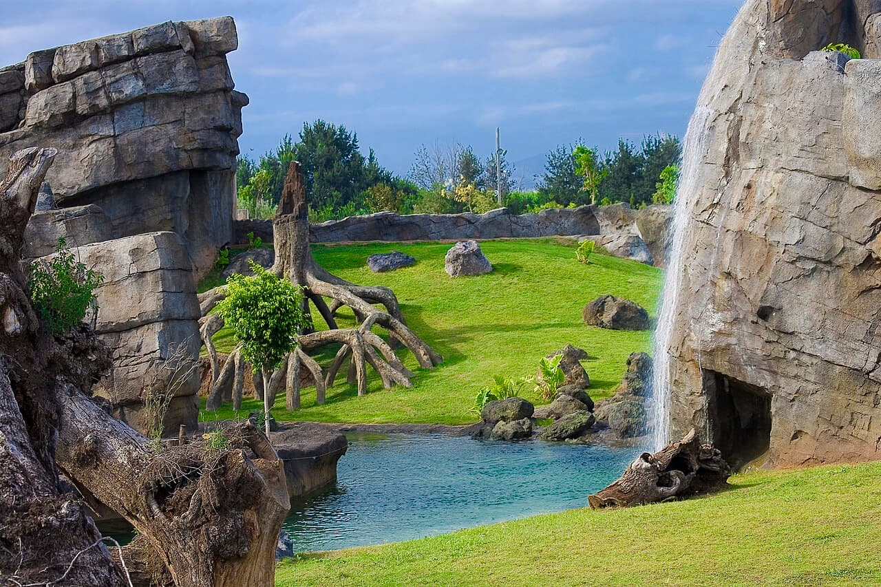 Hábitat africano con rocas, agua y vegetación en BIOPARC Valencia